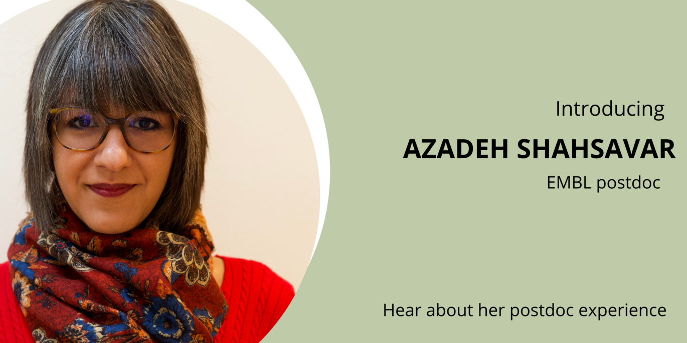 Meet Azadeh Shahsavar: EMBL Postdoc